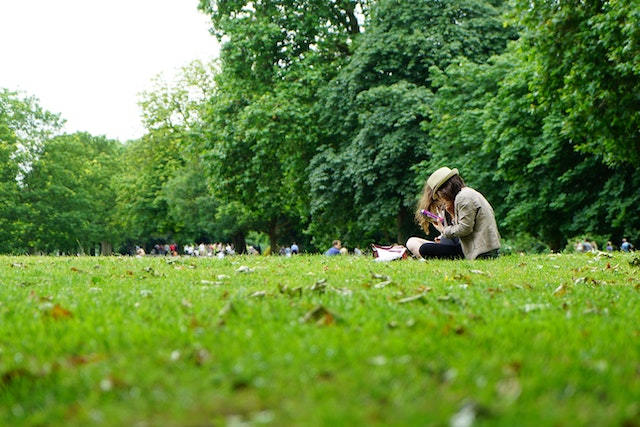 people sitting in park